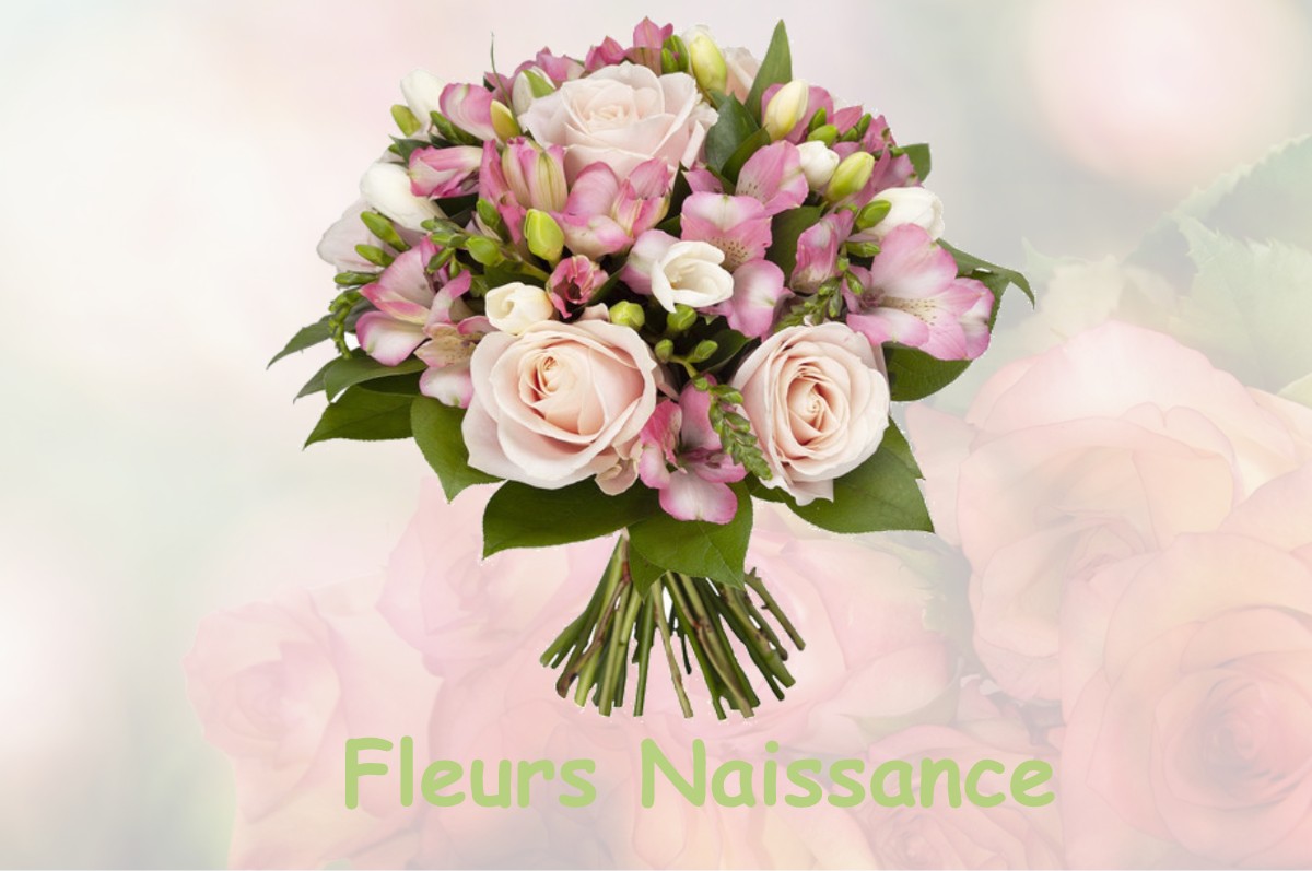 fleurs naissance NEUVY-GRANDCHAMP